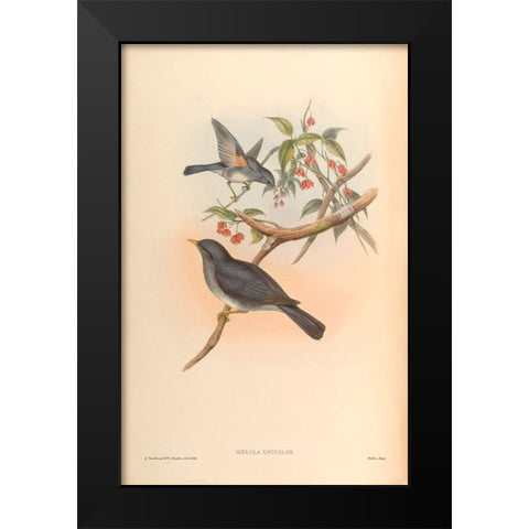 Merula Unicolor Black Modern Wood Framed Art Print by CAG