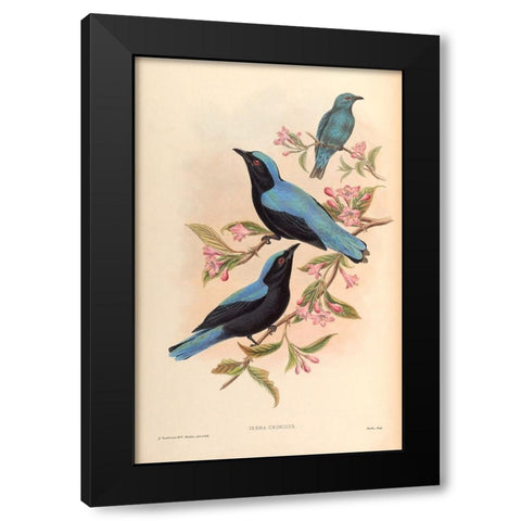 Irena Criniger Black Modern Wood Framed Art Print by CAG