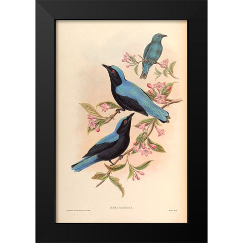 Irena Criniger Black Modern Wood Framed Art Print by CAG