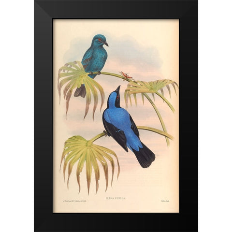 Irena Puella Black Modern Wood Framed Art Print by CAG