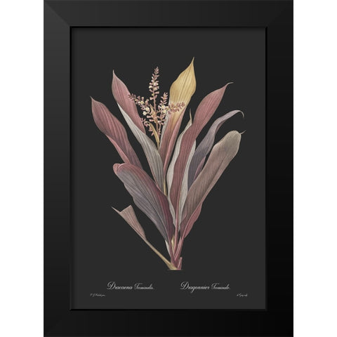 Dracaena terminalis - Dark Black Modern Wood Framed Art Print by CAG