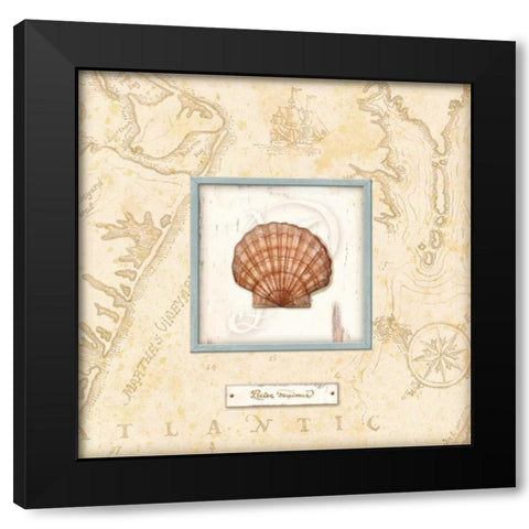 Sea Treasure II Black Modern Wood Framed Art Print with Double Matting by Audrey, Charlene