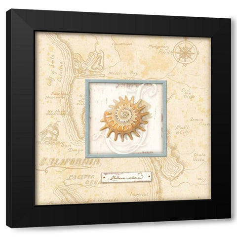 Sea Treasure III Black Modern Wood Framed Art Print with Double Matting by Audrey, Charlene