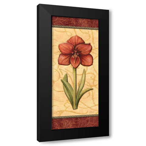 Red Passion Amaryllis Black Modern Wood Framed Art Print with Double Matting by Audrey, Charlene
