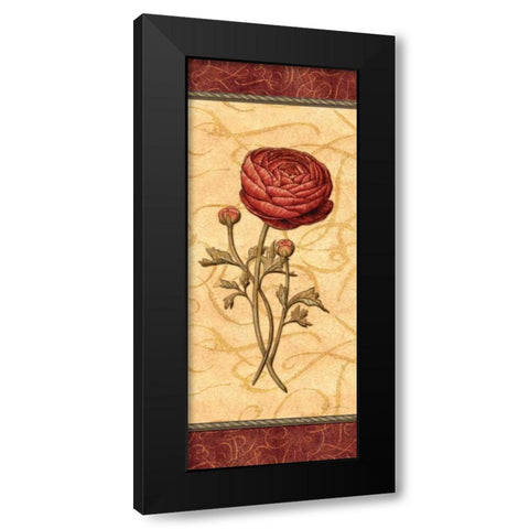 Red Passion Renonculus Black Modern Wood Framed Art Print with Double Matting by Audrey, Charlene