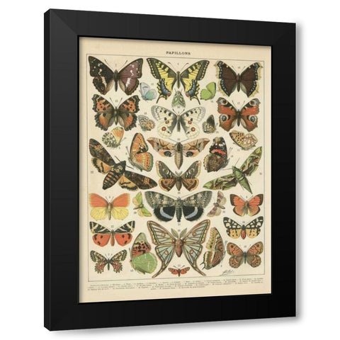 Papillons I Black Modern Wood Framed Art Print with Double Matting by Babbitt, Gwendolyn