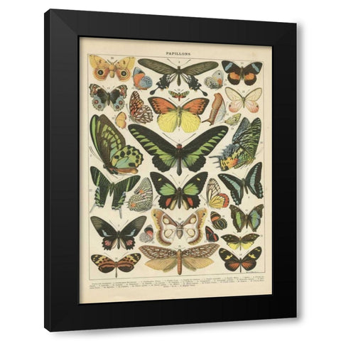 Papillons II Black Modern Wood Framed Art Print by Babbitt, Gwendolyn