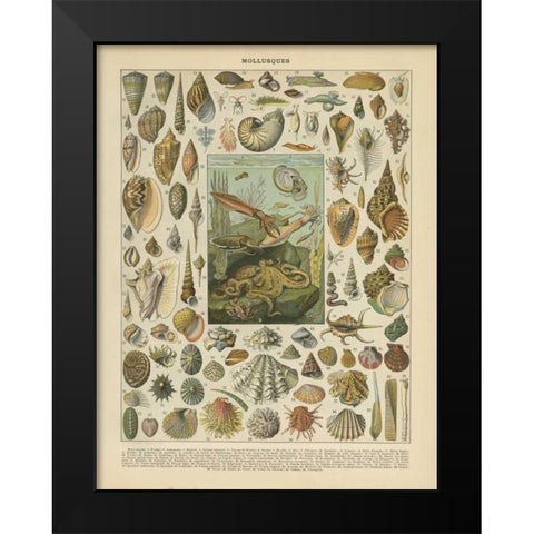 Mollusques Black Modern Wood Framed Art Print by Babbitt, Gwendolyn