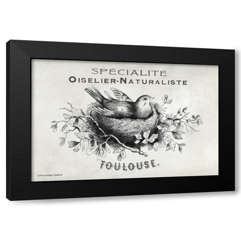 French Bird Nest I Black Modern Wood Framed Art Print with Double Matting by Babbitt, Gwendolyn