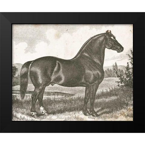 Horse Etching I Black Modern Wood Framed Art Print by Babbitt, Gwendolyn