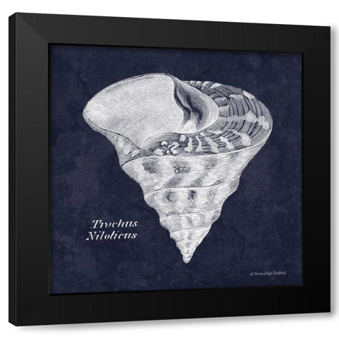 Indigo Shell IV Black Modern Wood Framed Art Print by Babbitt, Gwendolyn