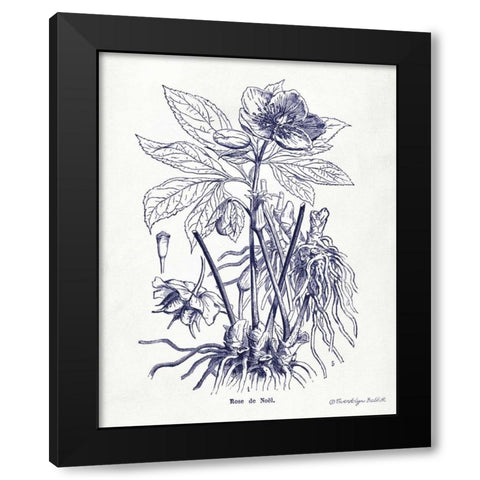 Indigo Botanical II Black Modern Wood Framed Art Print by Babbitt, Gwendolyn