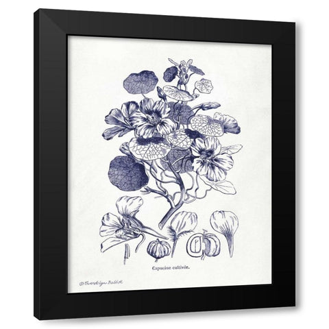 Indigo Botanical IV Black Modern Wood Framed Art Print with Double Matting by Babbitt, Gwendolyn