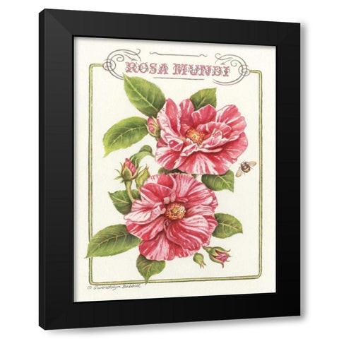 Rosa Mundi Black Modern Wood Framed Art Print by Babbitt, Gwendolyn