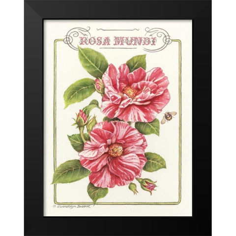 Rosa Mundi Black Modern Wood Framed Art Print by Babbitt, Gwendolyn