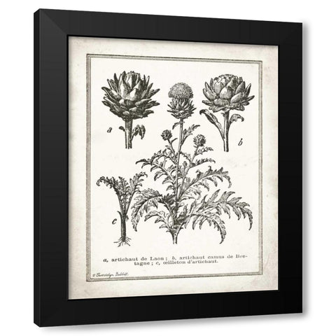 French Artichokes Black Modern Wood Framed Art Print with Double Matting by Babbitt, Gwendolyn