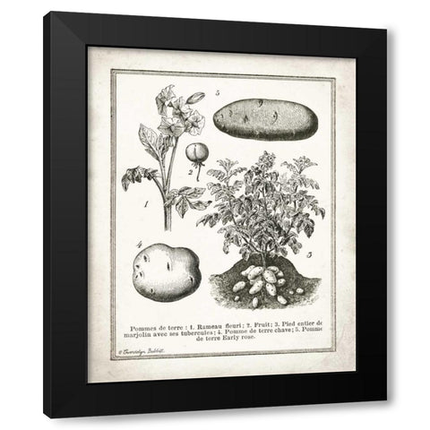 French Potatoes Black Modern Wood Framed Art Print with Double Matting by Babbitt, Gwendolyn