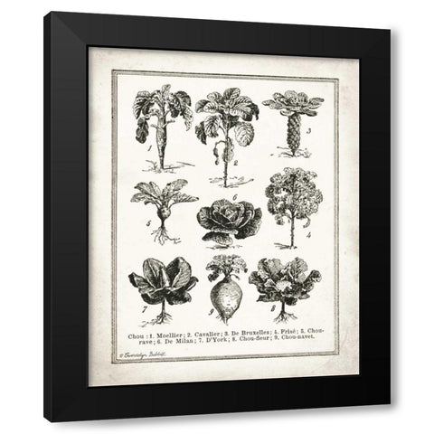 French Cabbage Black Modern Wood Framed Art Print with Double Matting by Babbitt, Gwendolyn