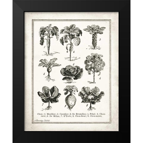 French Cabbage Black Modern Wood Framed Art Print by Babbitt, Gwendolyn