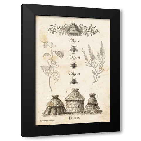 Bee Chart II Black Modern Wood Framed Art Print by Babbitt, Gwendolyn