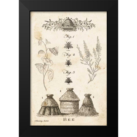 Bee Chart II Black Modern Wood Framed Art Print by Babbitt, Gwendolyn