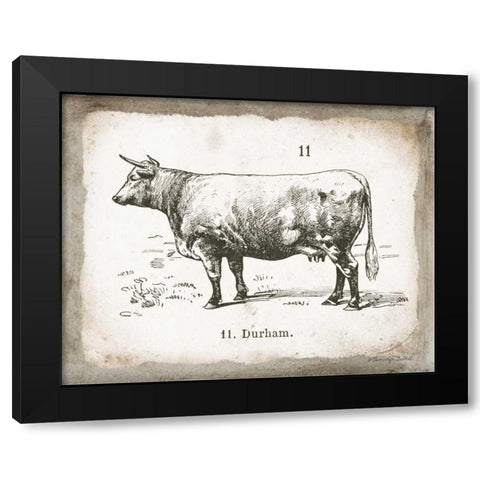 French Cow II Black Modern Wood Framed Art Print with Double Matting by Babbitt, Gwendolyn