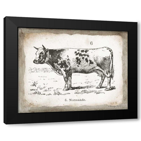 French Cow IV Black Modern Wood Framed Art Print with Double Matting by Babbitt, Gwendolyn
