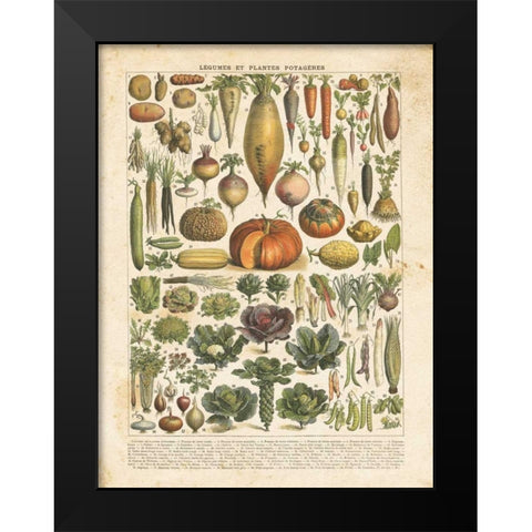 French Vegetable Chart Black Modern Wood Framed Art Print by Babbitt, Gwendolyn
