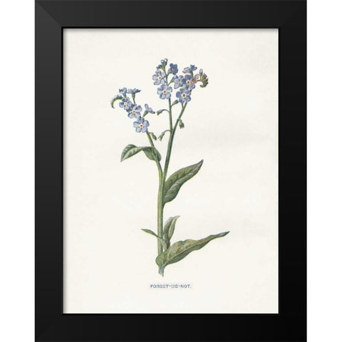 Forget me Not Black Modern Wood Framed Art Print by Babbitt, Gwendolyn