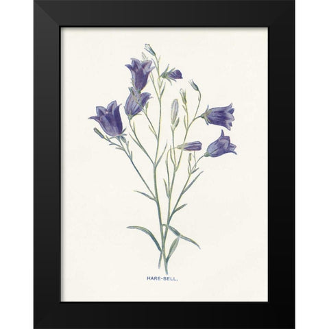 Hare-Bell Black Modern Wood Framed Art Print by Babbitt, Gwendolyn