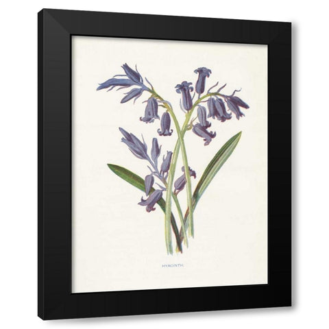 Hyacinth Black Modern Wood Framed Art Print with Double Matting by Babbitt, Gwendolyn