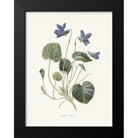 Sweet Violets Black Modern Wood Framed Art Print by Babbitt, Gwendolyn