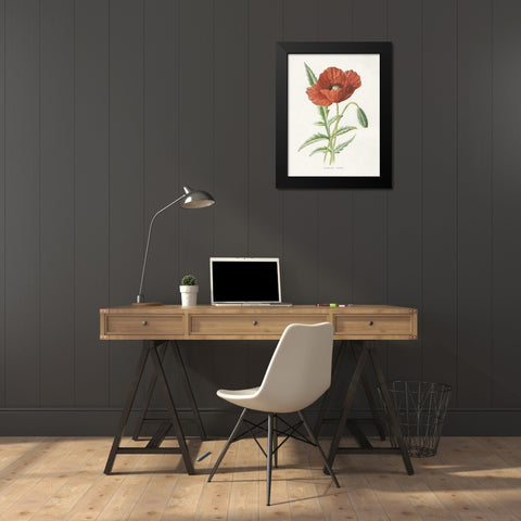 Scarlet Poppy Black Modern Wood Framed Art Print by Babbitt, Gwendolyn