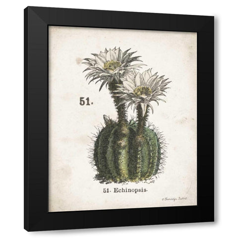 Cacti IV Black Modern Wood Framed Art Print with Double Matting by Babbitt, Gwendolyn