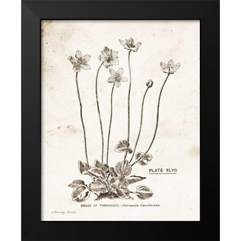 Flower Plate I Black Modern Wood Framed Art Print by Babbitt, Gwendolyn