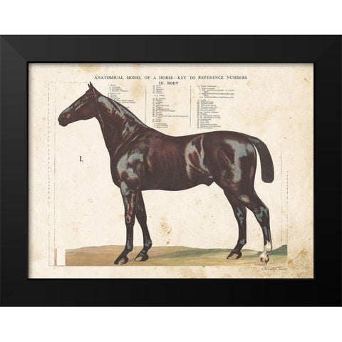 Anatomical Model Horse Black Modern Wood Framed Art Print by Babbitt, Gwendolyn