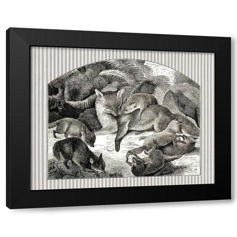 Fox Mom and Cubs Black Modern Wood Framed Art Print with Double Matting by Babbitt, Gwendolyn