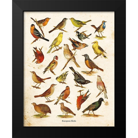 Bird Chart I Black Modern Wood Framed Art Print by Babbitt, Gwendolyn