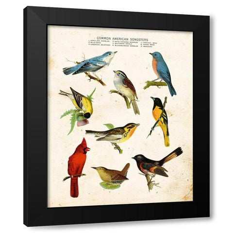 Bird Chart II Black Modern Wood Framed Art Print by Babbitt, Gwendolyn