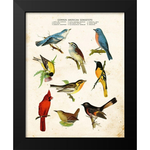 Bird Chart II Black Modern Wood Framed Art Print by Babbitt, Gwendolyn