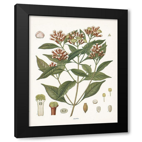 Clove Botanical Black Modern Wood Framed Art Print with Double Matting by Babbitt, Gwendolyn