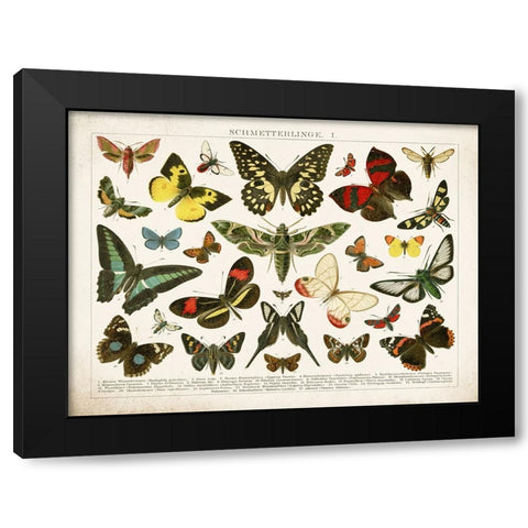 Butterfly Chart Black Modern Wood Framed Art Print with Double Matting by Babbitt, Gwendolyn