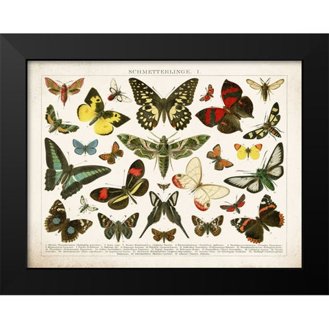 Butterfly Chart Black Modern Wood Framed Art Print by Babbitt, Gwendolyn