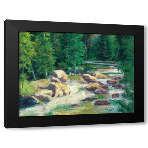 Cascading Stream Black Modern Wood Framed Art Print with Double Matting by Bailey, Carol