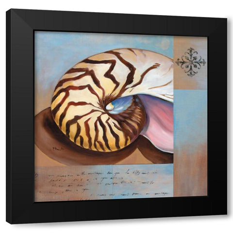 Sanibel Nautilus Black Modern Wood Framed Art Print with Double Matting by Brent, Paul