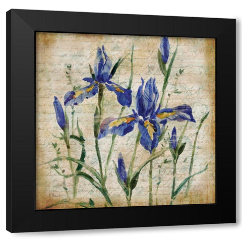 Poetic Garden IV Black Modern Wood Framed Art Print with Double Matting by Brent, Paul