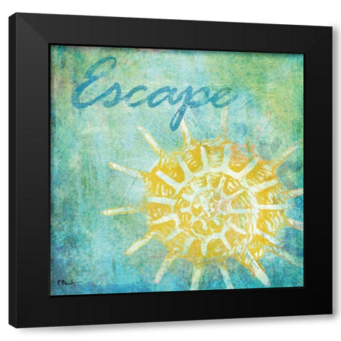 Caribbean Shells II Black Modern Wood Framed Art Print with Double Matting by Brent, Paul
