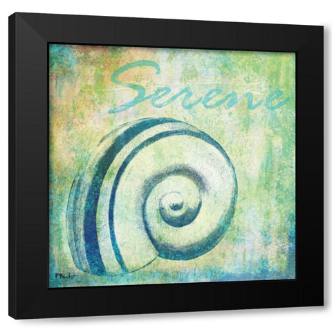 Caribbean Shells III Black Modern Wood Framed Art Print with Double Matting by Brent, Paul
