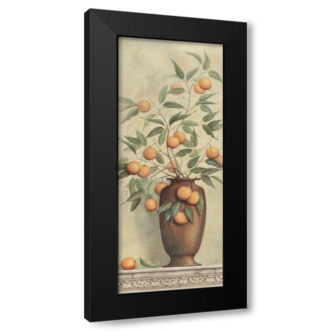 Apricotier Black Modern Wood Framed Art Print with Double Matting by Brissonnet, Daphne