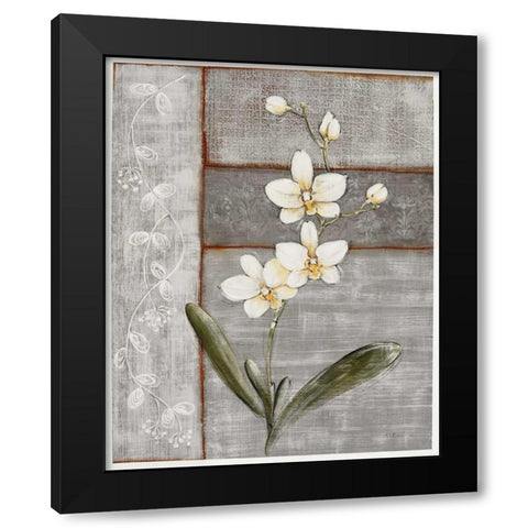 Orchid Shimmer I Black Modern Wood Framed Art Print with Double Matting by Braun, O.